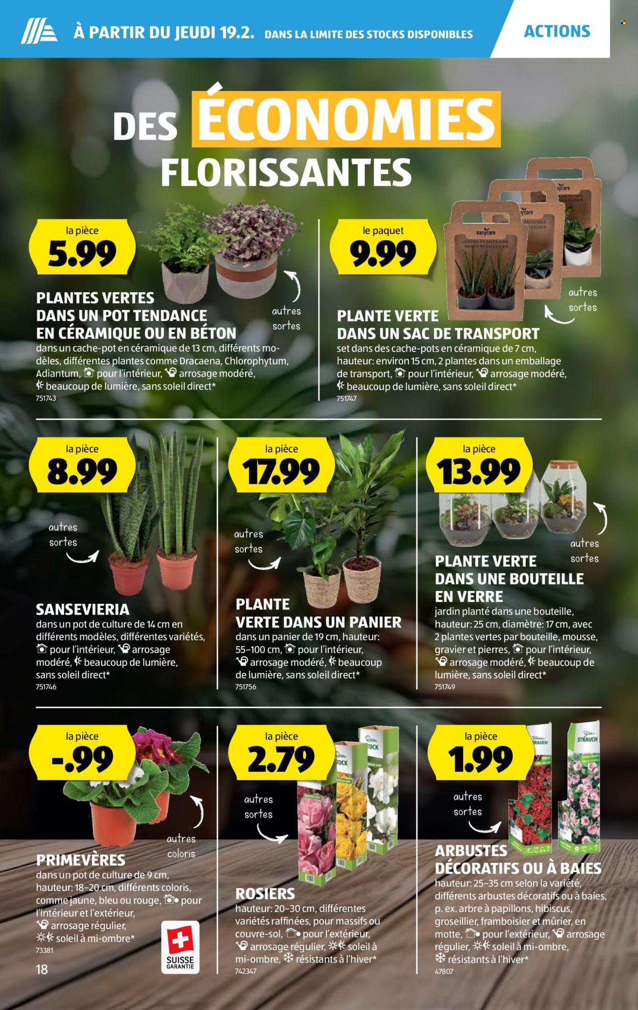 Catalogue Aldi - 19.2.2026 - 25.2.2026. Page 18. Page 18