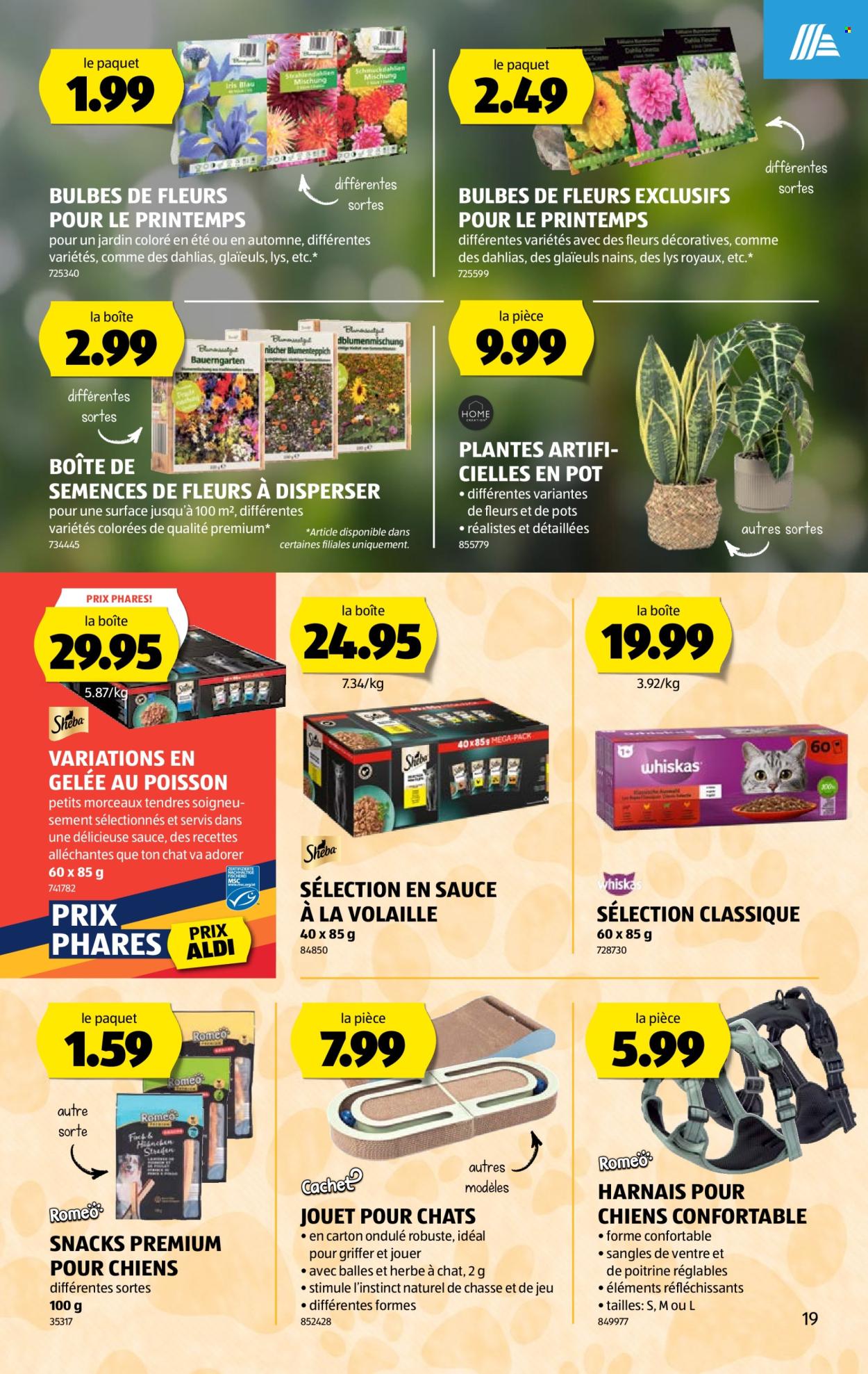 Catalogue Aldi - 19.2.2026 - 25.2.2026. Page 19. Page 19