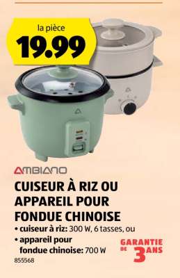 Cuiseur à riz ou appareil pour fondue chinoise