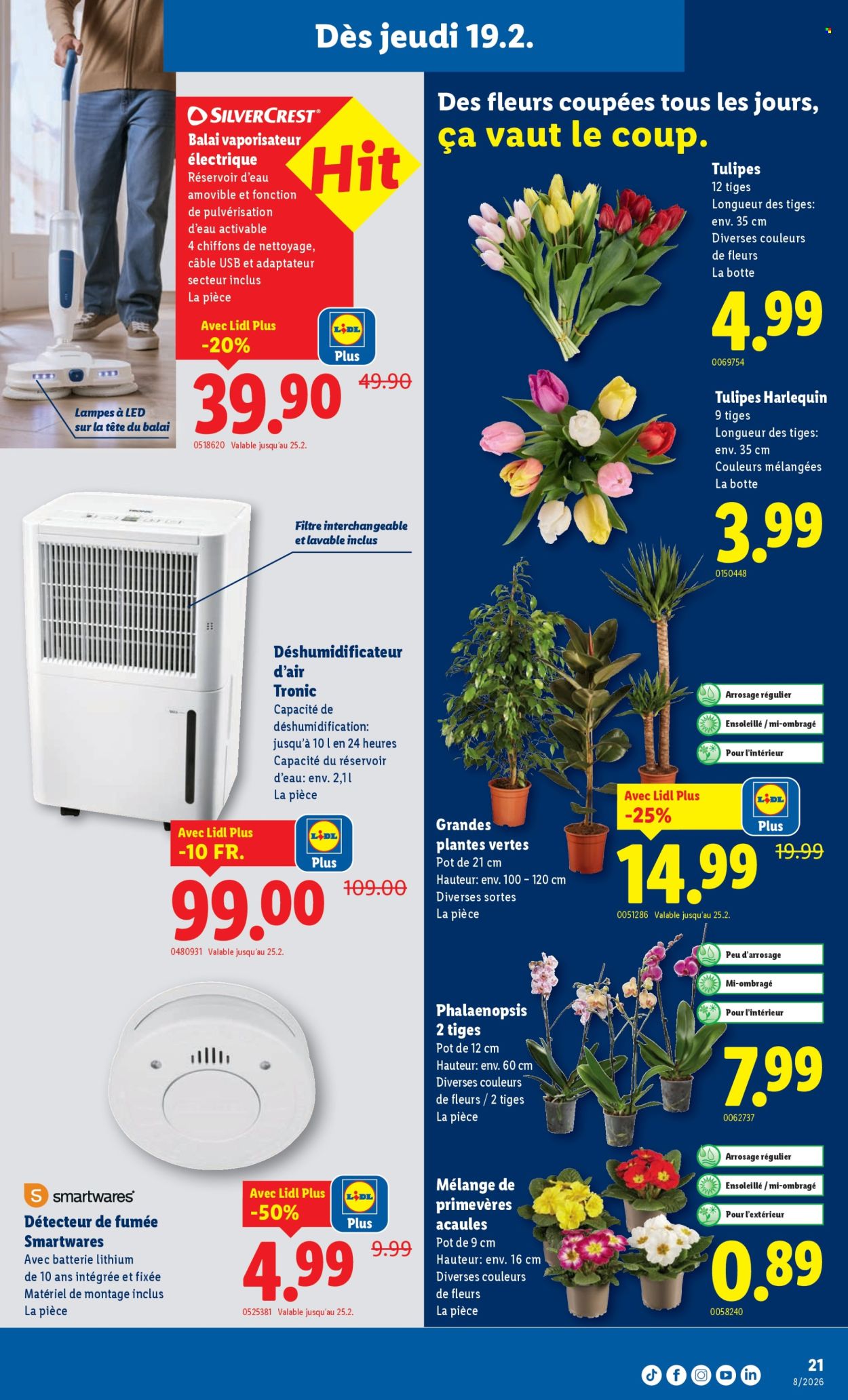 Catalogue Lidl - 19.2.2026 - 25.2.2026. Page 21. Page 21