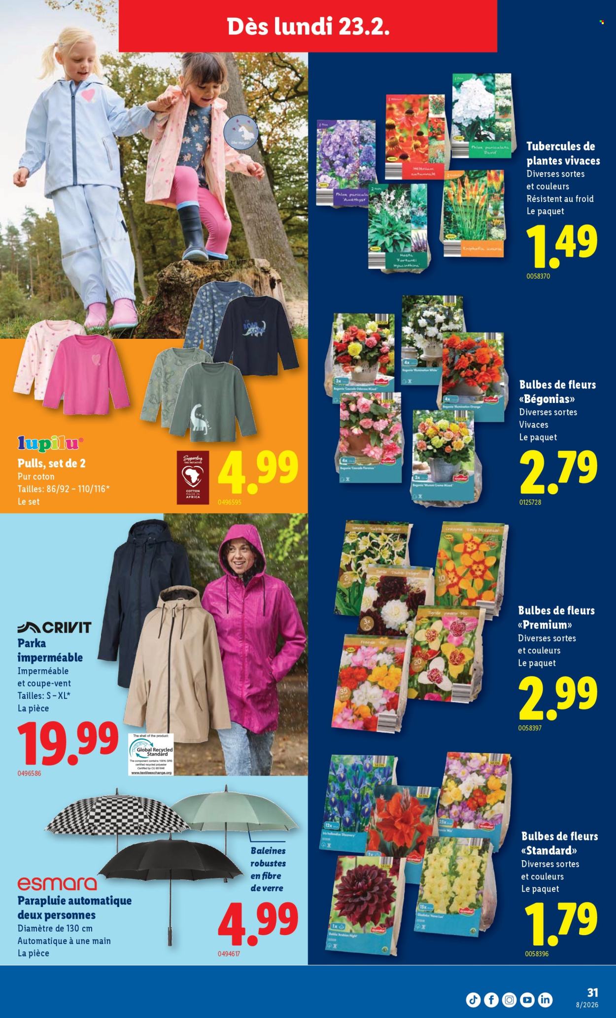 Catalogue Lidl - 19.2.2026 - 25.2.2026. Page 31. Page 31