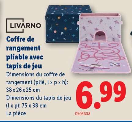 LIVARNO Coffre de rangement pliable avec tapis de jeu