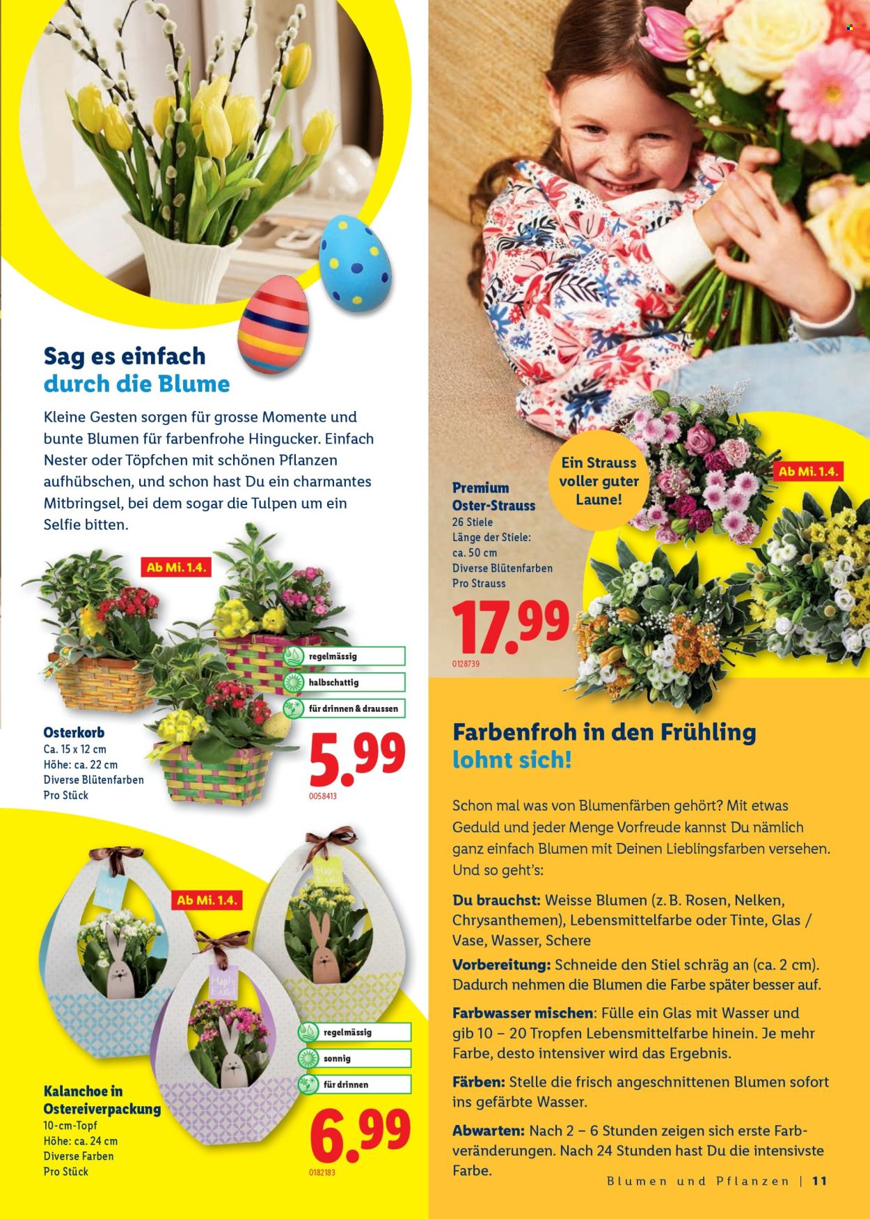 Catalogue Lidl - 26.2.2026 - 4.4.2026. Page 11. Page 11