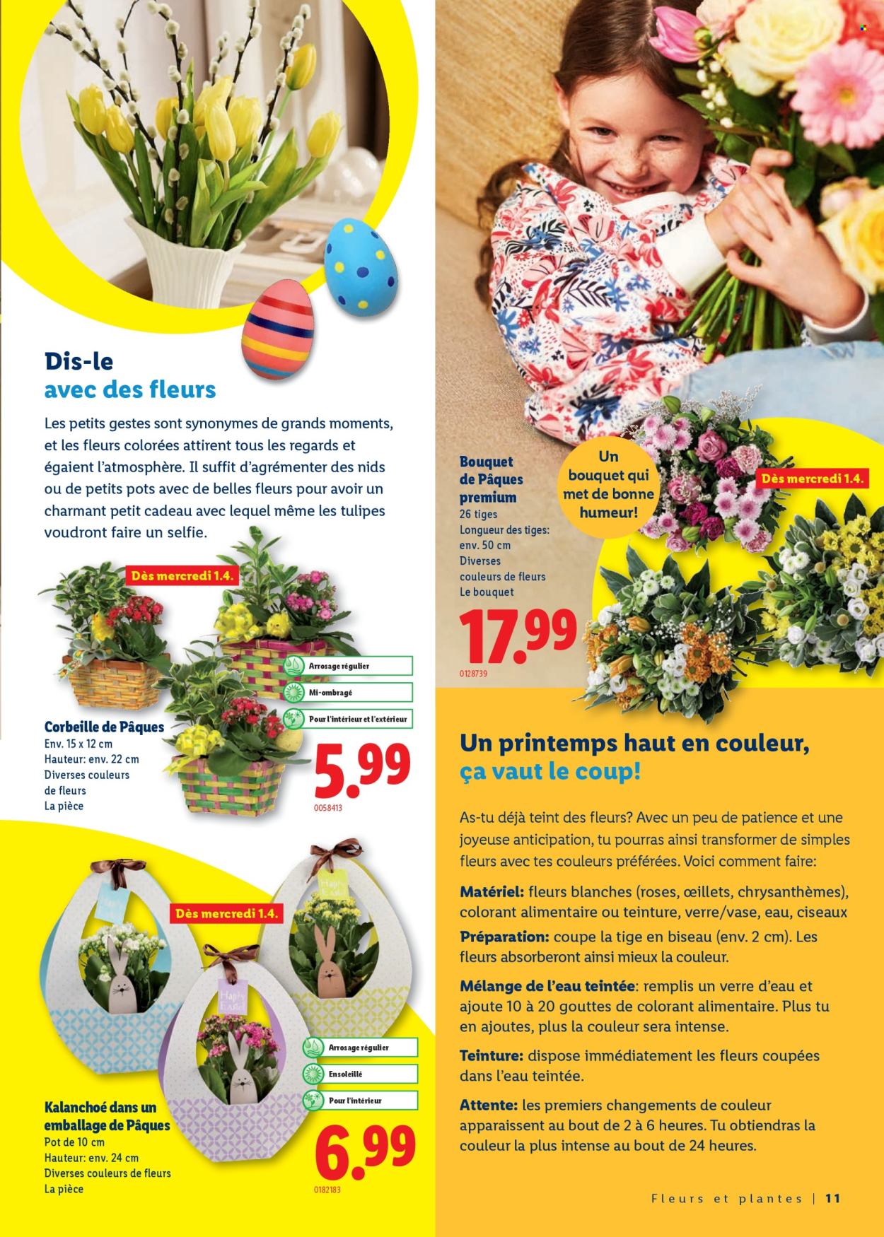 Catalogue Lidl - 26.2.2026 - 4.4.2026. Page 11. Page 11