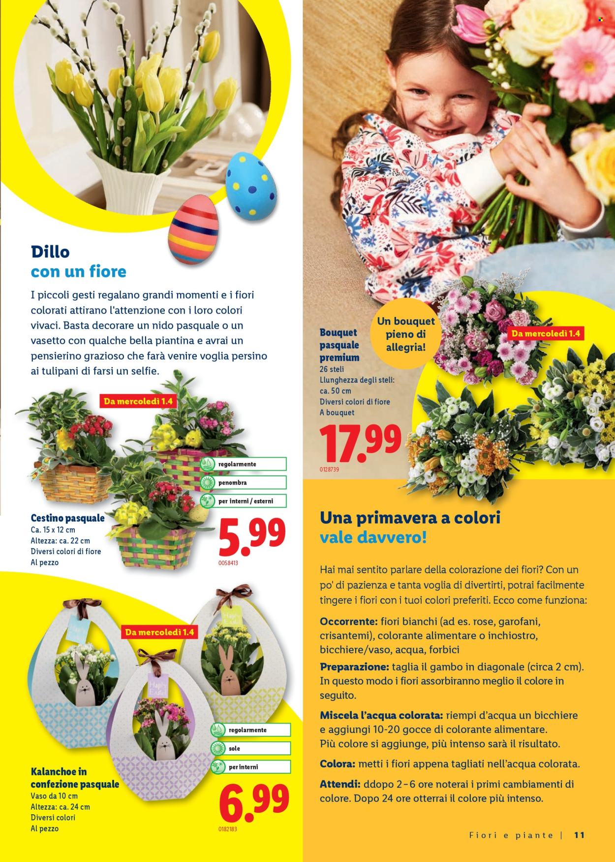 Catalogue Lidl - 26.2.2026 - 4.4.2026. Page 11. Page 11