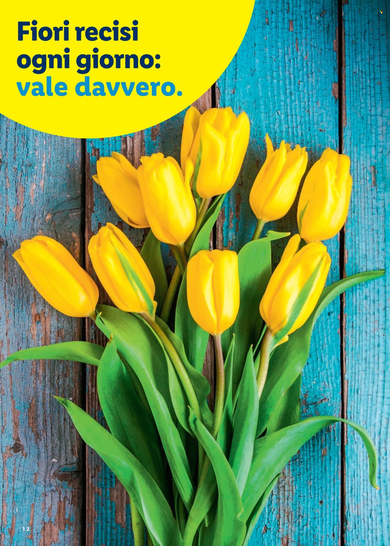 Catalogue Lidl - 26.2.2026 - 4.4.2026. Page 12. Page 12