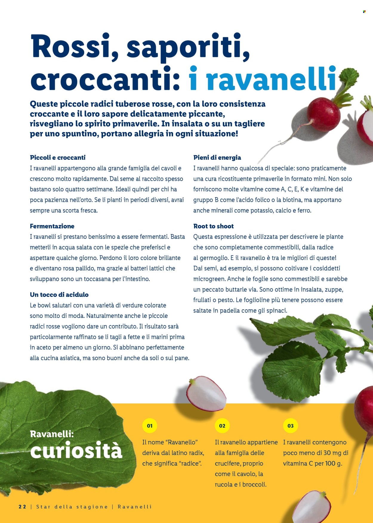 Catalogue Lidl - 26.2.2026 - 4.4.2026. Page 22. Page 22