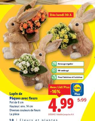 Lapin de Pâques avec fleurs