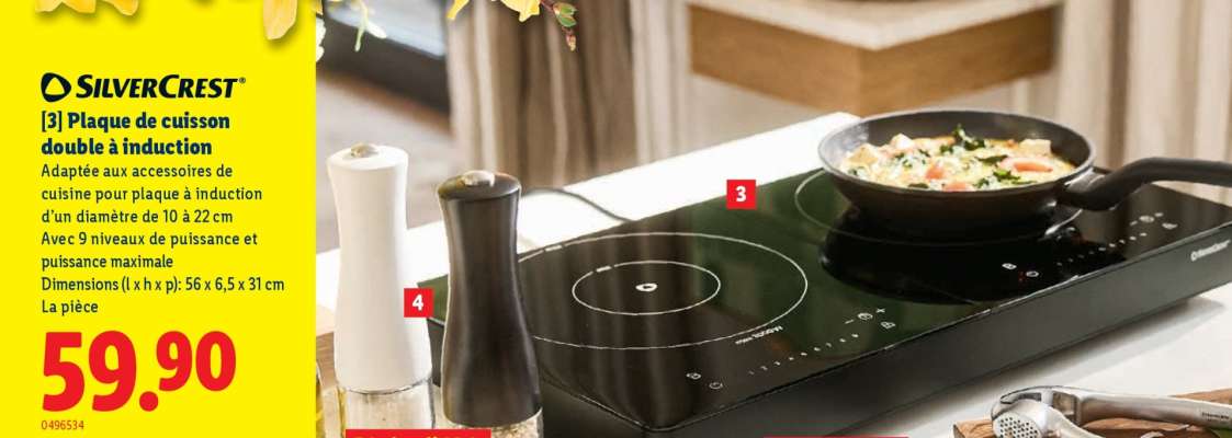 Plaque de cuisson double à induction