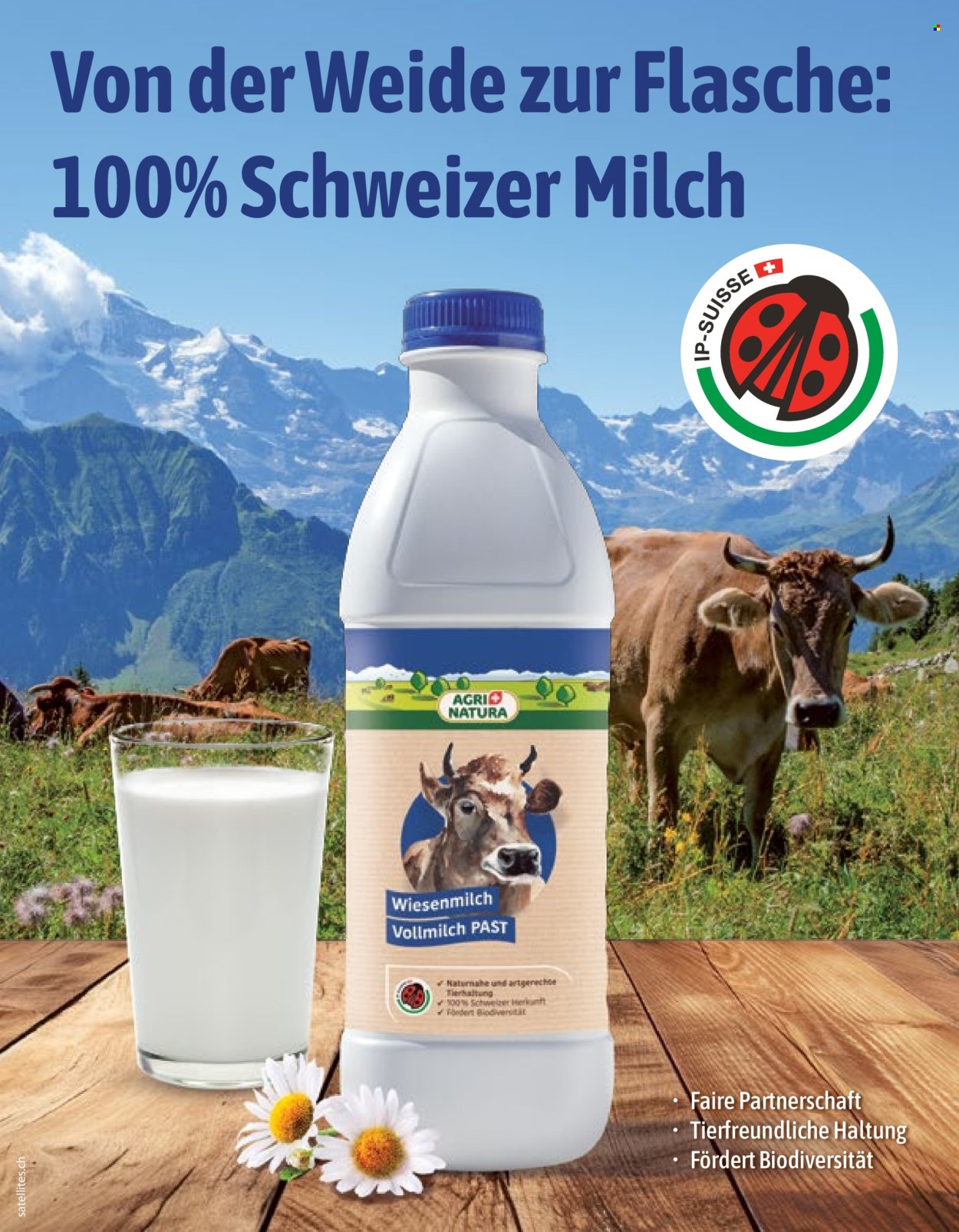 Catalogue Volg - 1.3.2026 - 31.3.2026. Page 64. Page 64