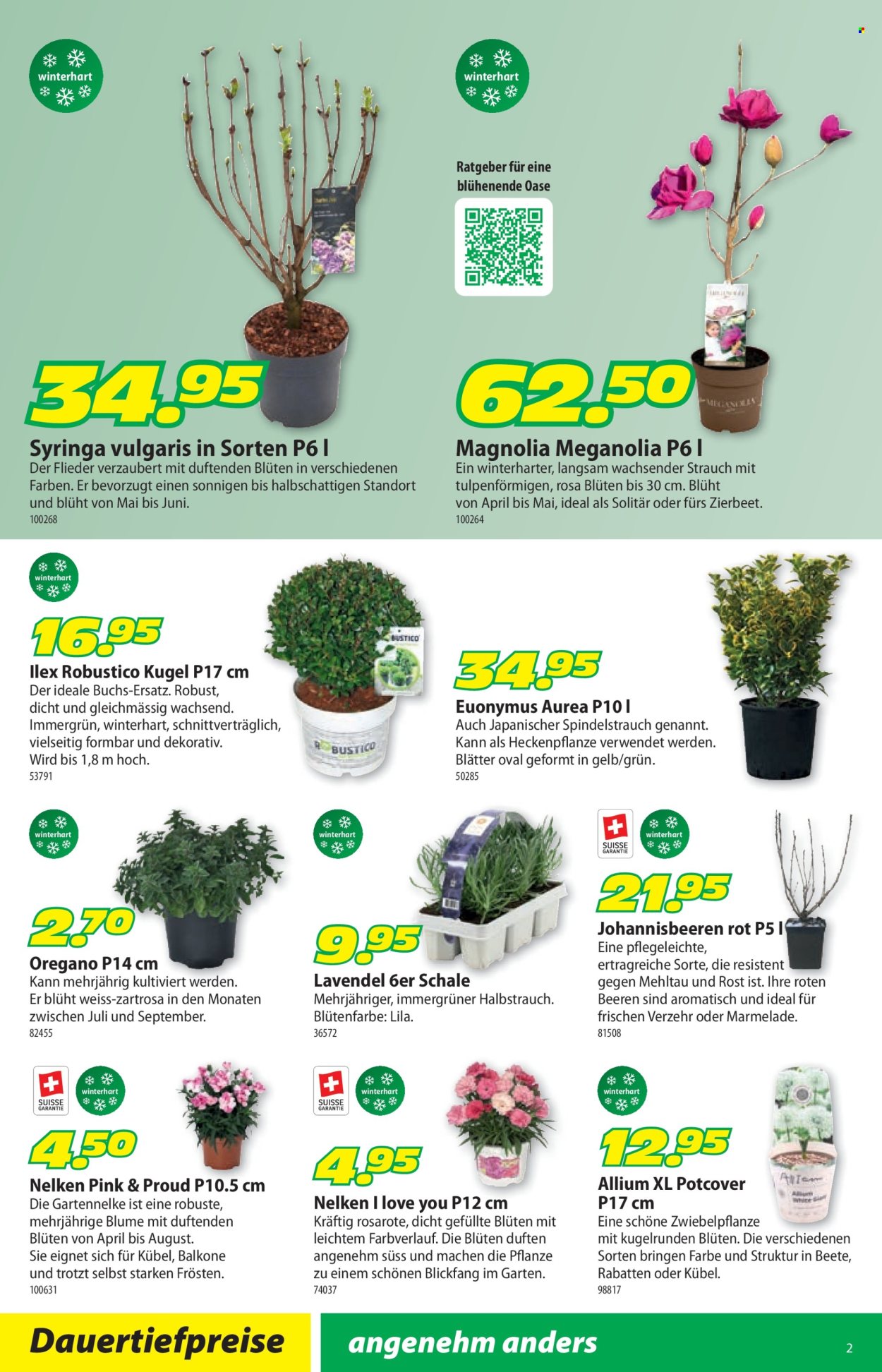 Catalogue Landi - 2.3.2026 - 15.3.2026. Page 6. Page 6