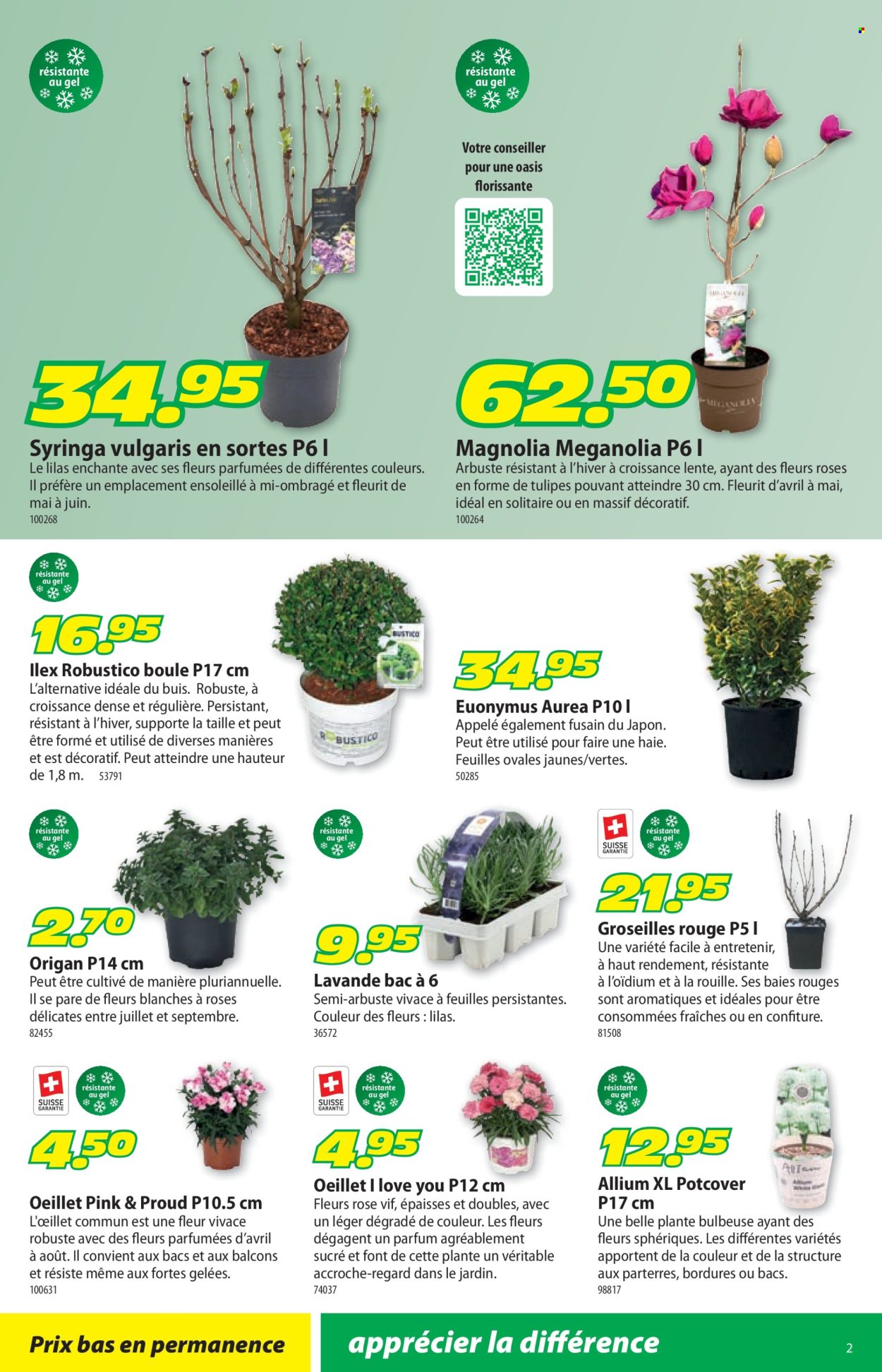 Catalogue Landi - 2.3.2026 - 15.3.2026. Page 6. Page 6