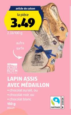 LAPIN ASSIS AVEC MÉDAILLON