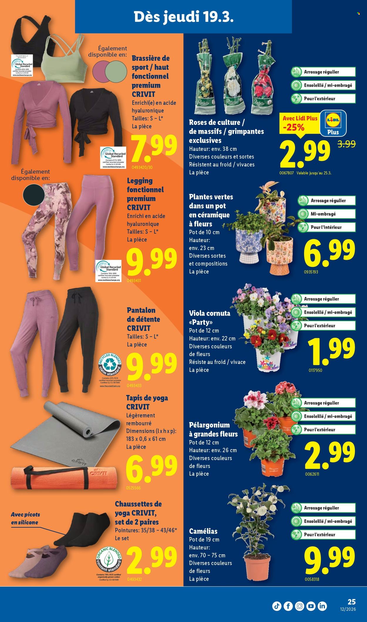 Catalogue Lidl - 19.3.2026 - 25.3.2026. Page 25. Page 25
