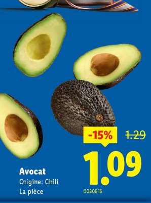 Avocat