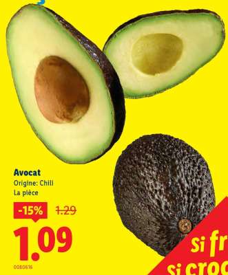 Avocat