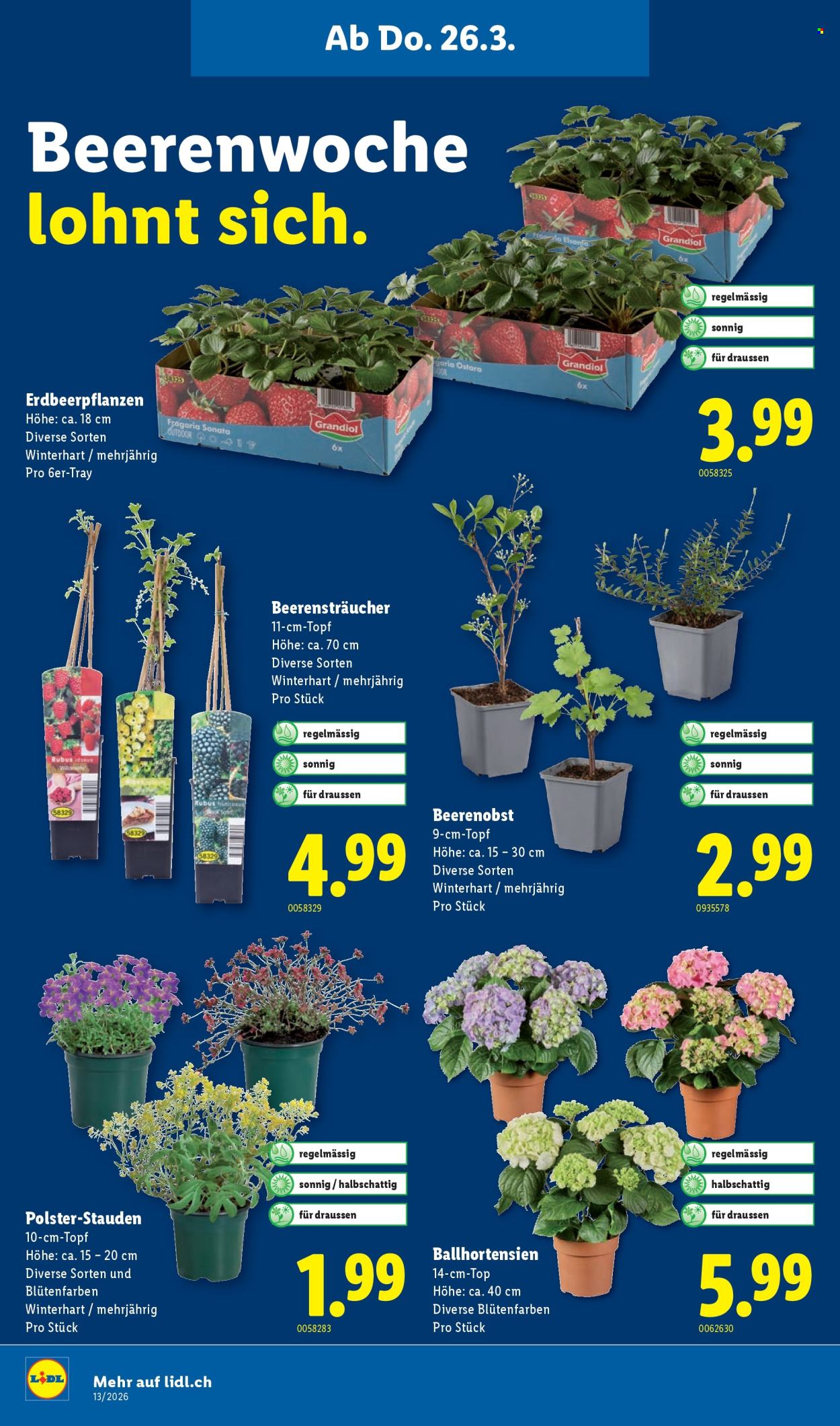 Catalogue Lidl - 26.3.2026 - 31.3.2026. Page 18. Page 18