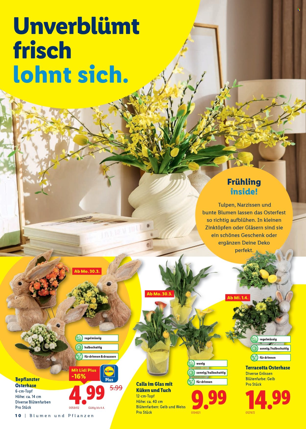 Catalogue Lidl - 26.3.2026 - 4.4.2026. Page 10. Page 10