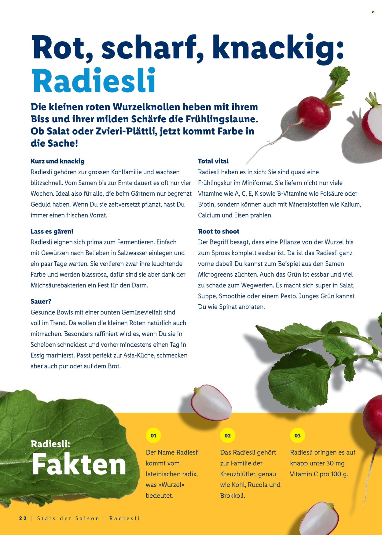 Catalogue Lidl - 26.3.2026 - 4.4.2026. Page 22. Page 22