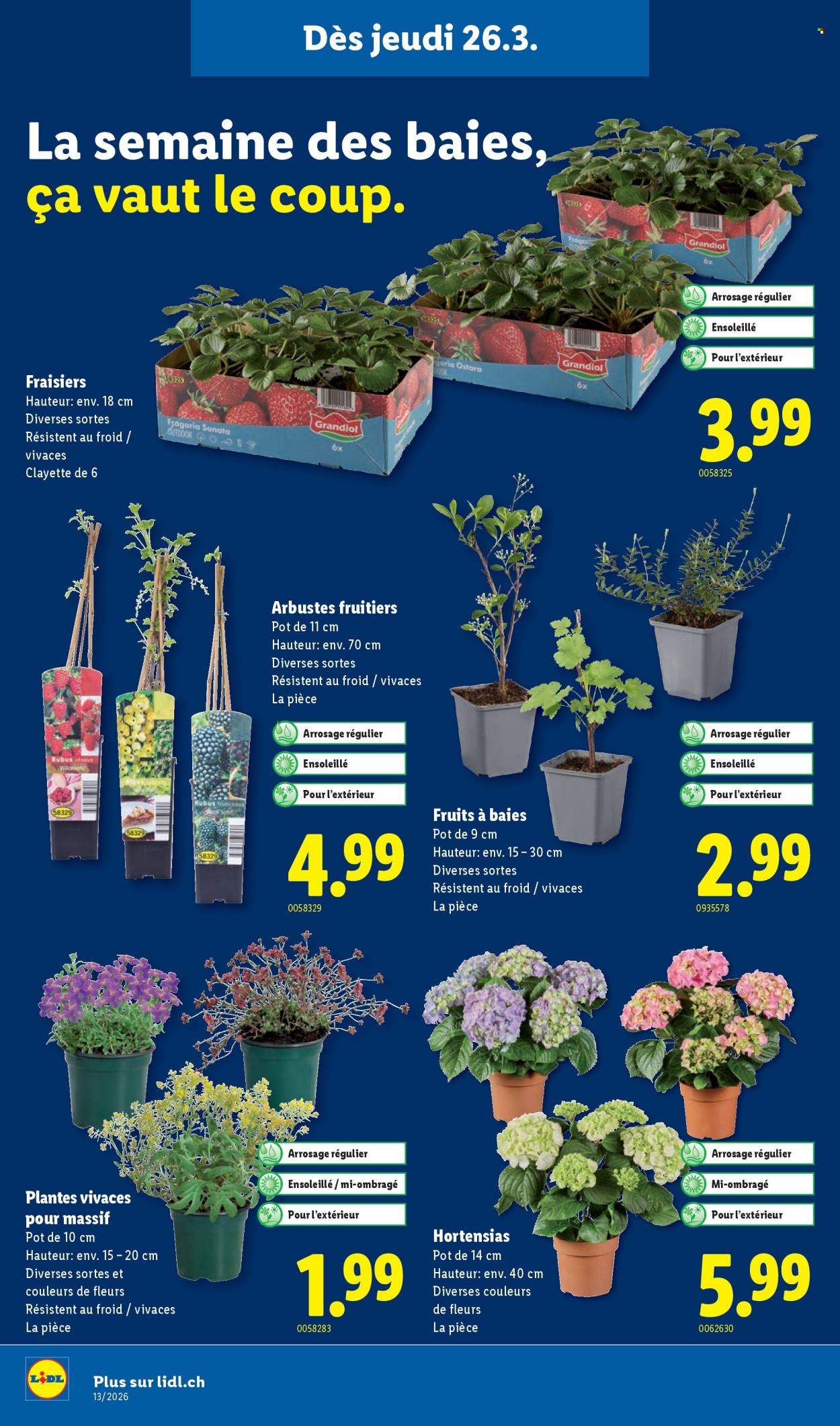 Catalogue Lidl - 26.3.2026 - 31.3.2026. Page 18. Page 18