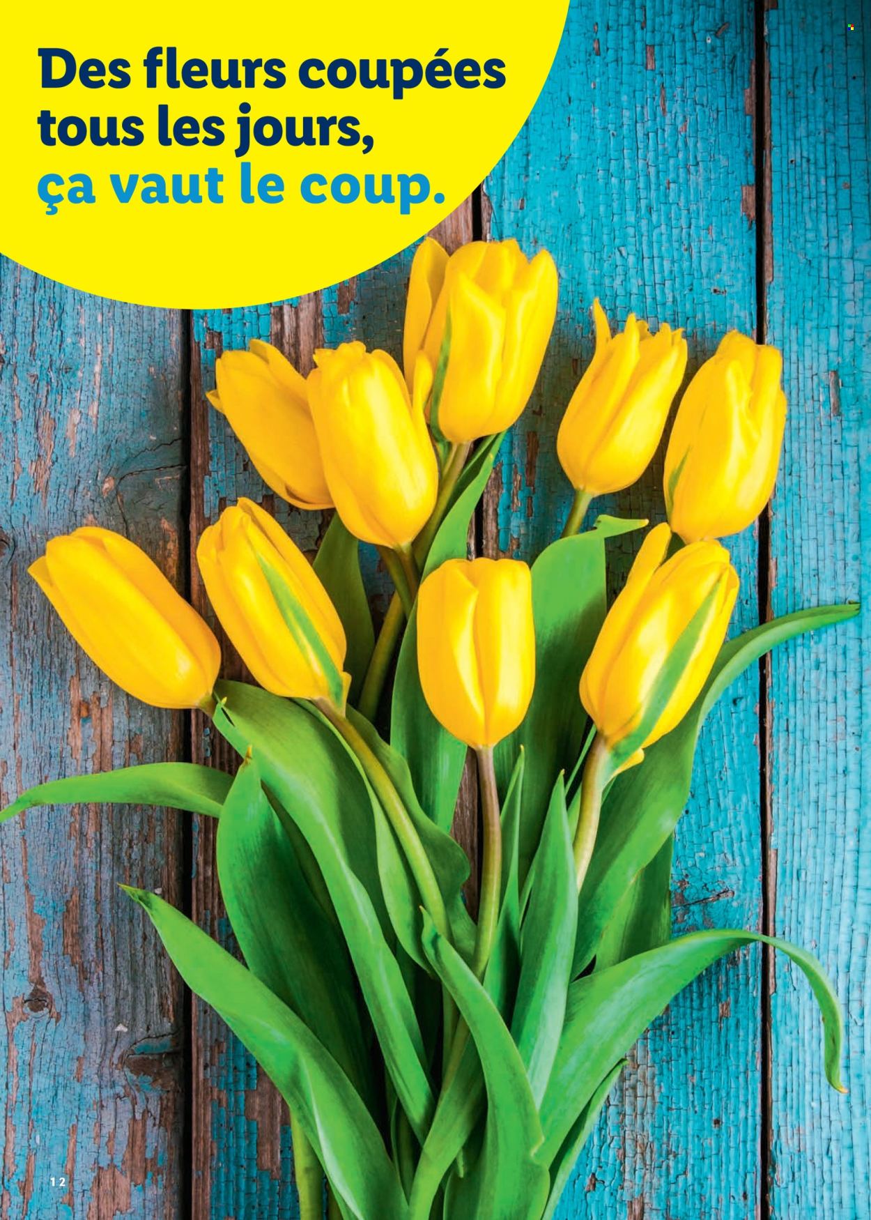 Catalogue Lidl - 26.3.2026 - 4.4.2026. Page 12. Page 12