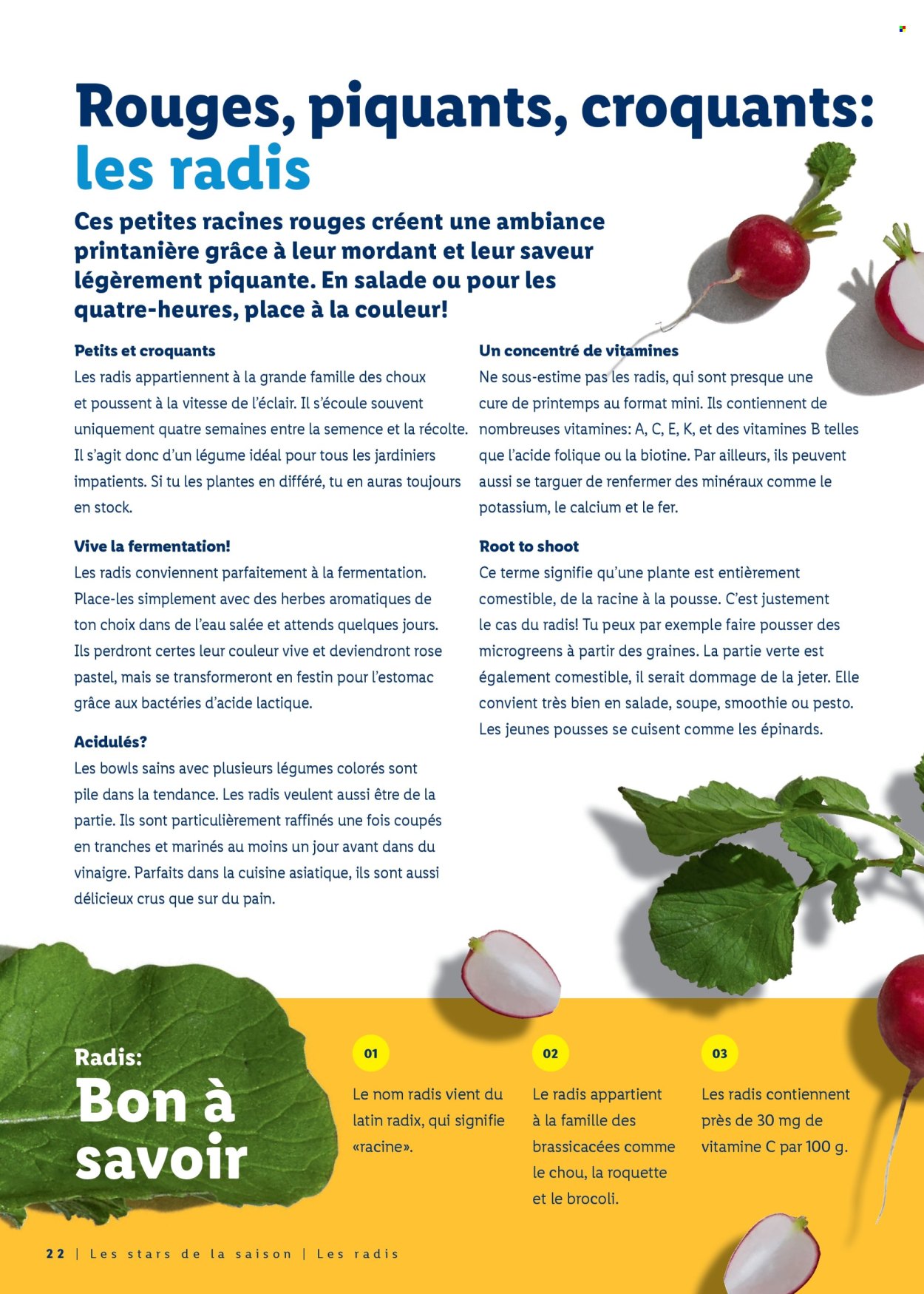 Catalogue Lidl - 26.3.2026 - 4.4.2026. Page 22. Page 22