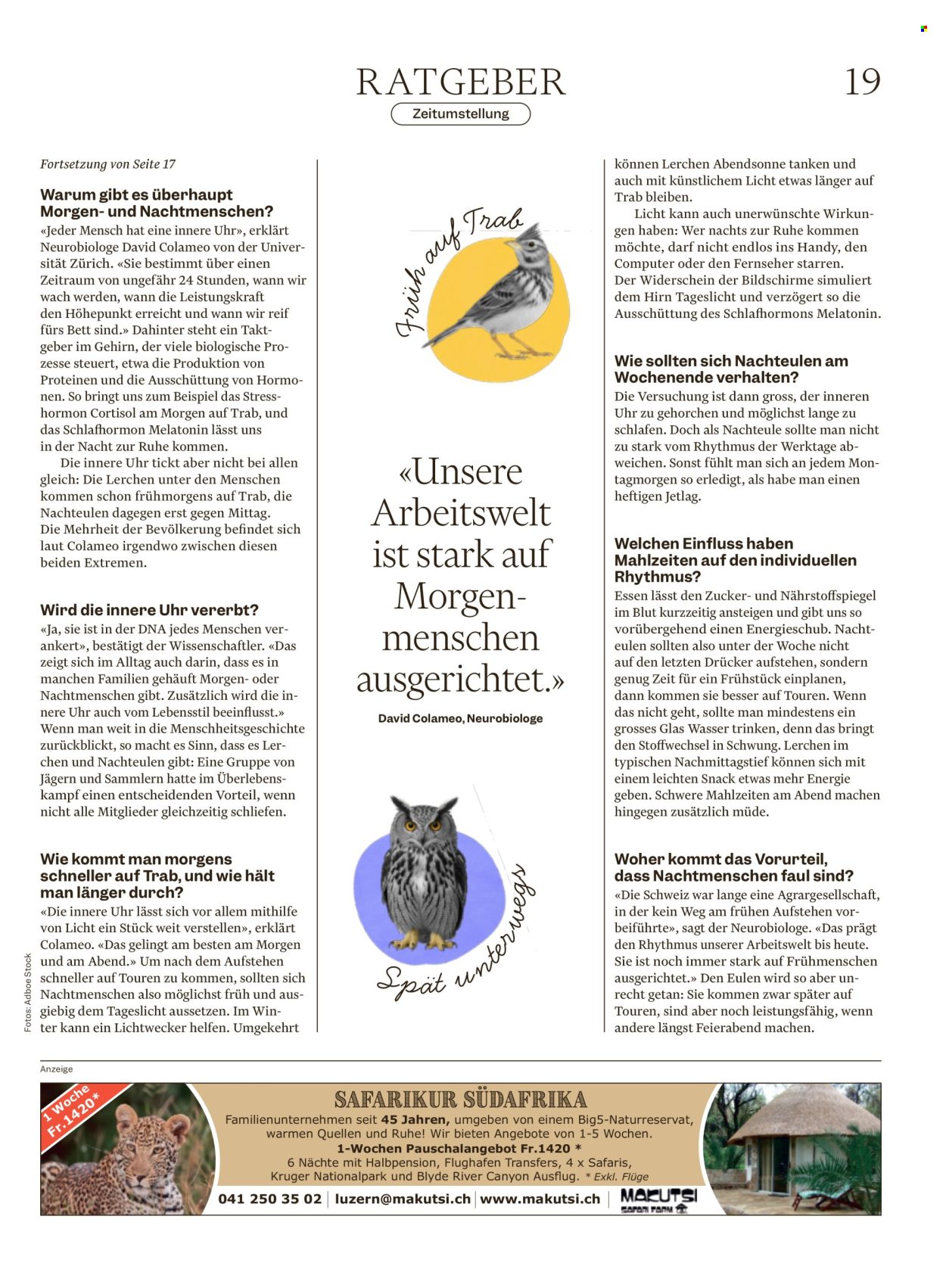 Catalogue Migros - 25.3.2026 - 1.4.2026. Page 19. Page 19