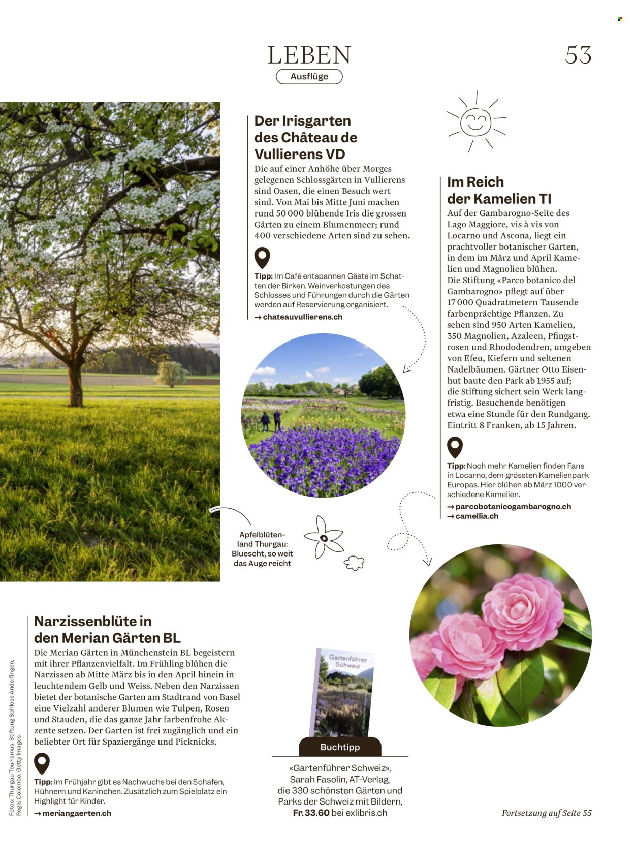 Catalogue Migros - 25.3.2026 - 1.4.2026. Page 53. Page 53