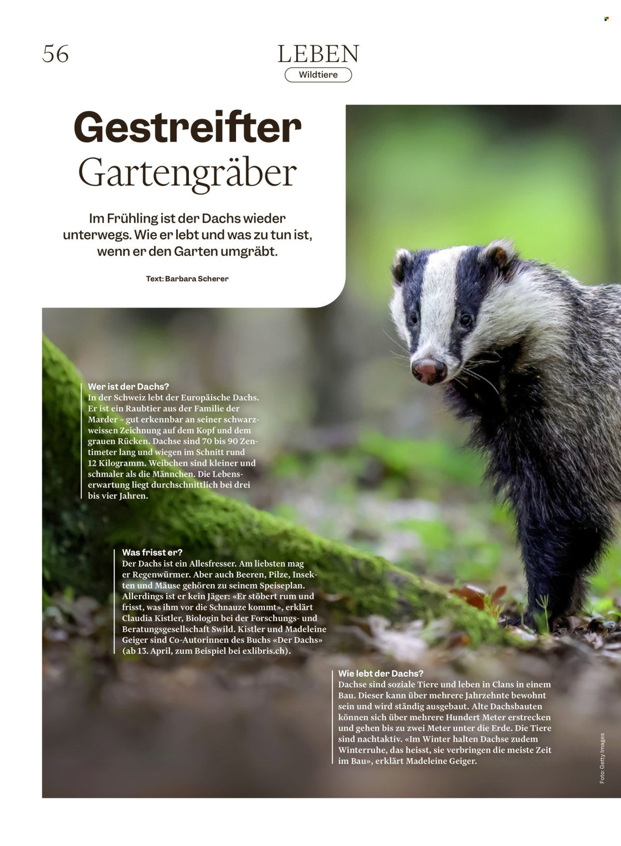 Catalogue Migros - 25.3.2026 - 1.4.2026. Page 56. Page 56