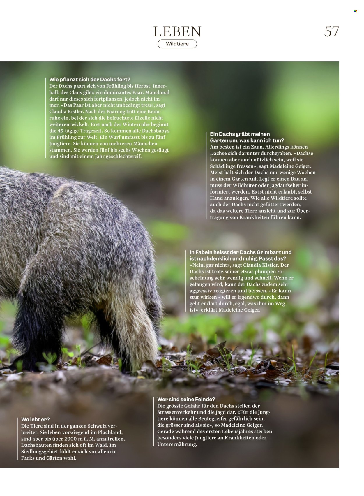 Catalogue Migros - 25.3.2026 - 1.4.2026. Page 57. Page 57