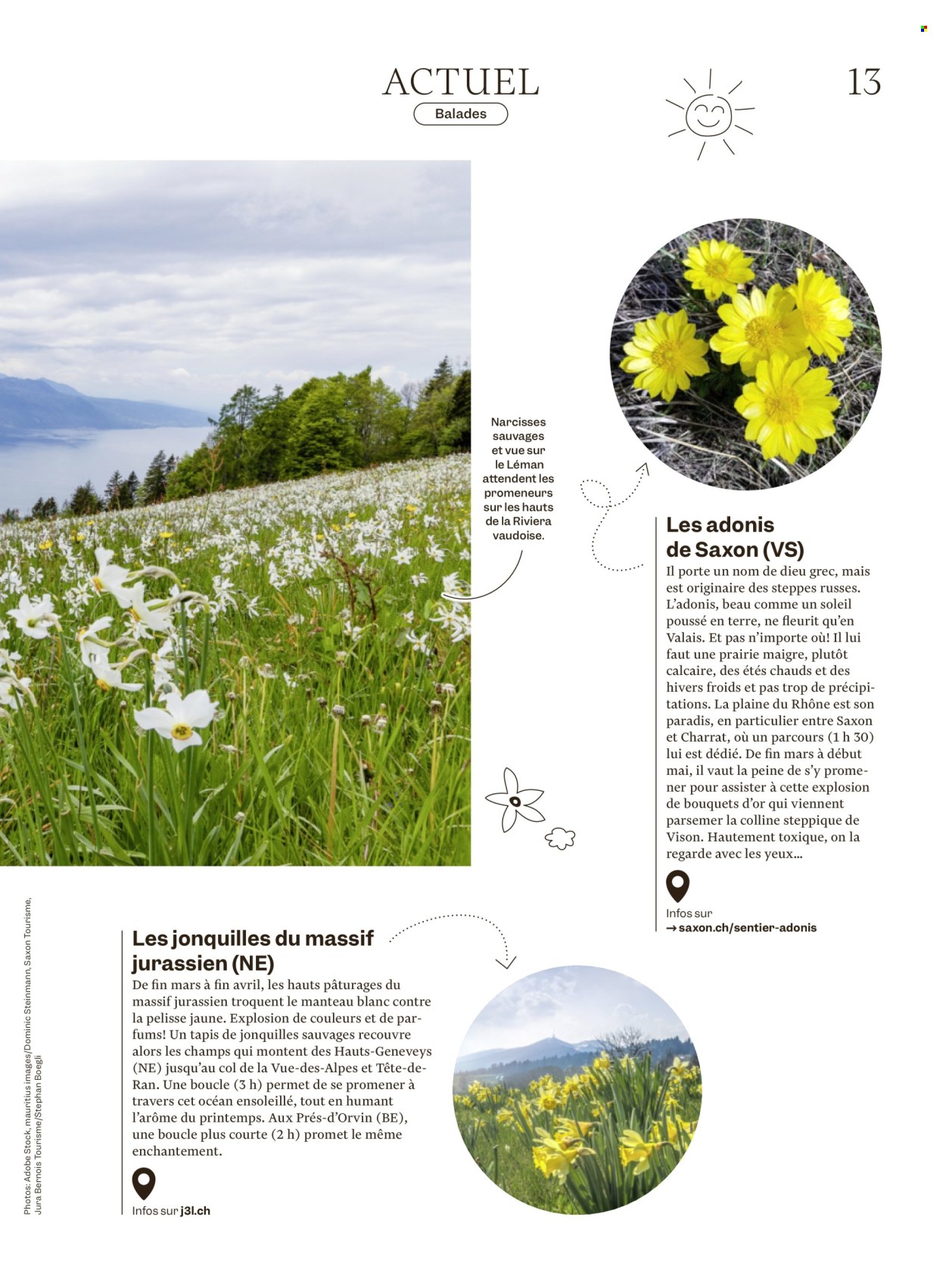 Catalogue Migros - 25.3.2026 - 1.4.2026. Page 13. Page 13