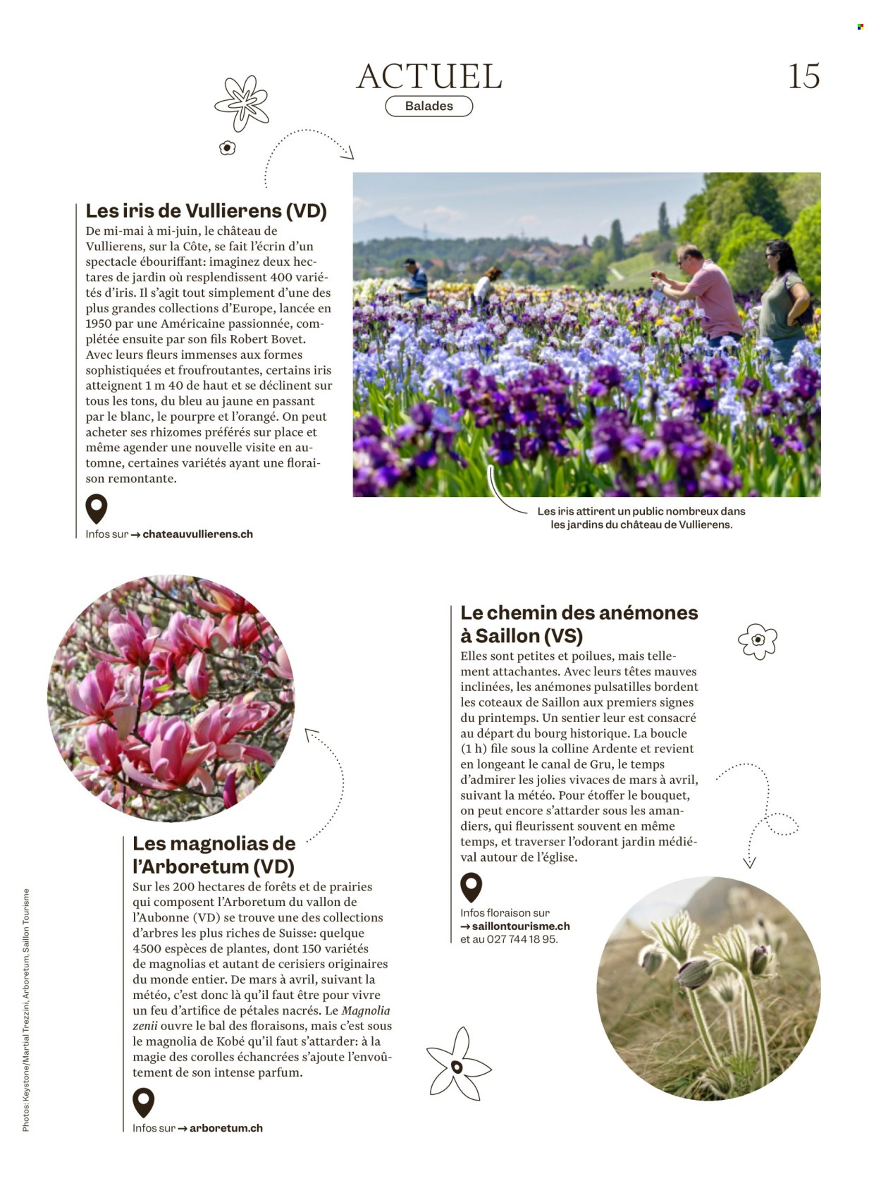 Catalogue Migros - 25.3.2026 - 1.4.2026. Page 15. Page 15