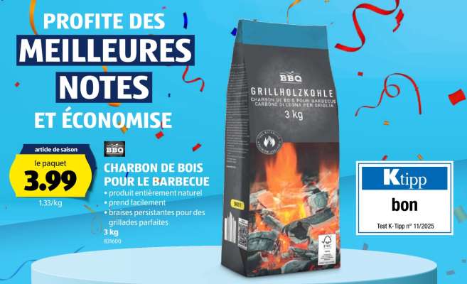 Charbon de bois pour le barbecue
