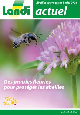 Landi - Abeilles sauvages et à miel