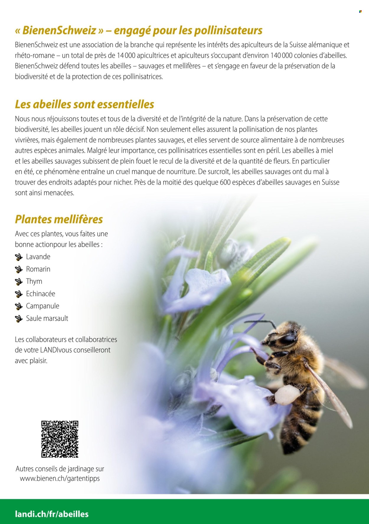 Catalogue Landi. Page 2. Page 2