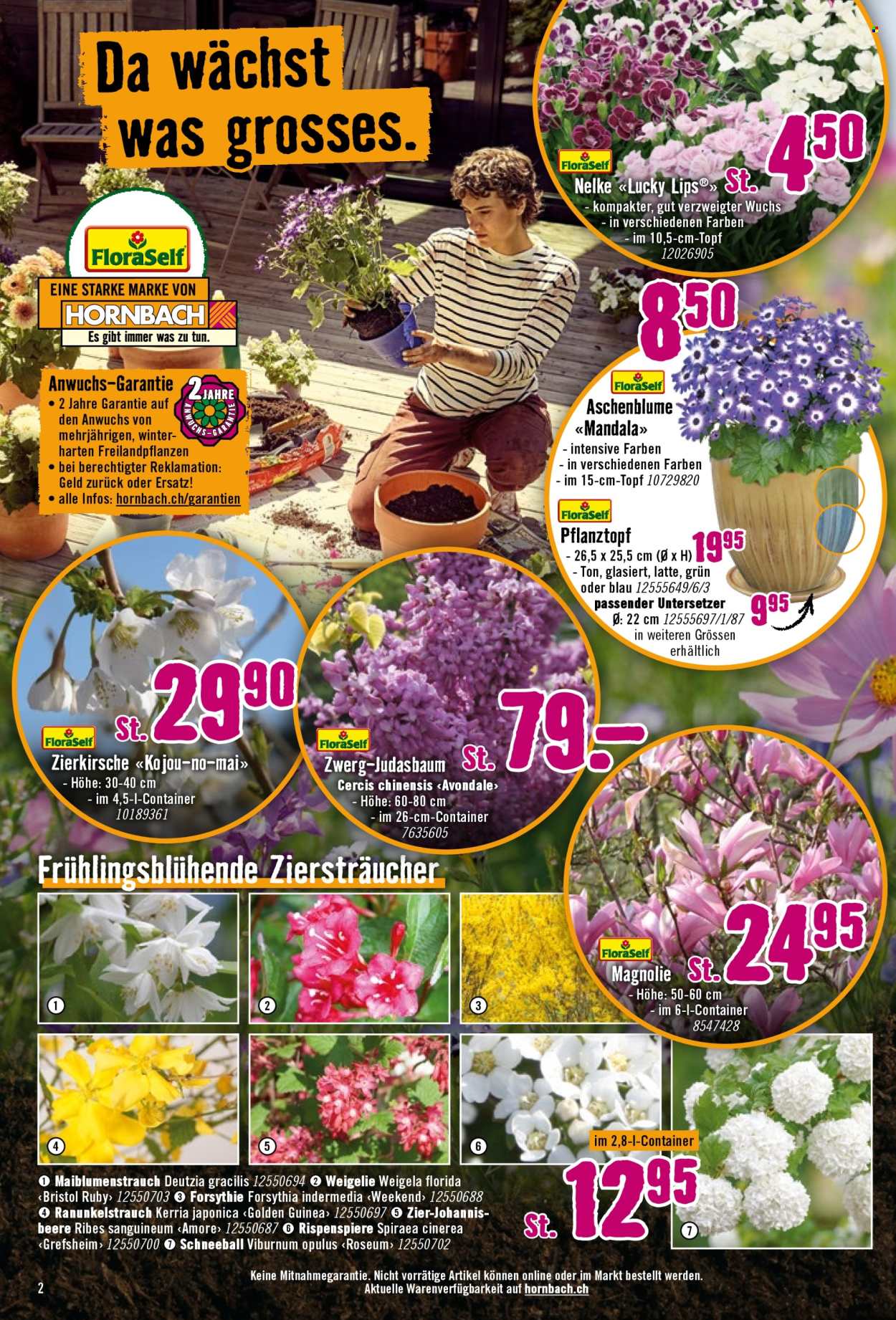 Catalogue Hornbach - 29.3.2026 - 20.4.2026. Page 2. Page 2