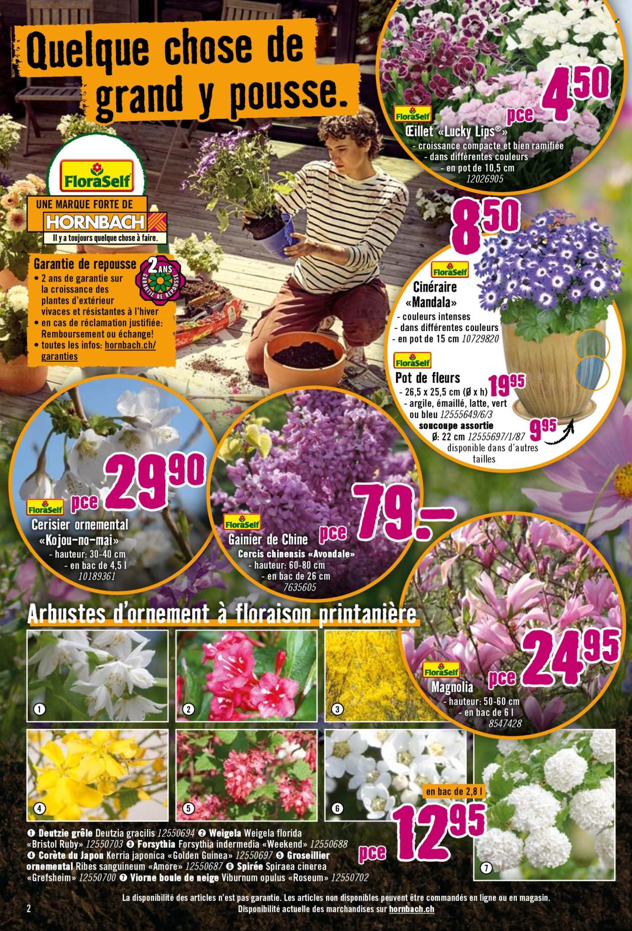 Catalogue Hornbach - 29.3.2026 - 20.4.2026. Page 2. Page 2