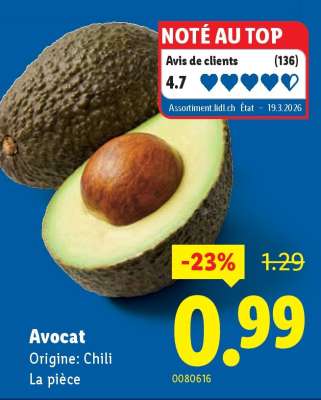 Avocat
