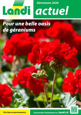 Landi - Géraniums