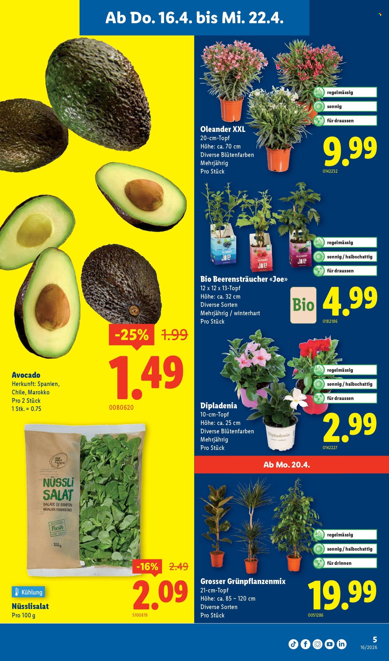 Catalogue Lidl - 16.4.2026 - 22.4.2026. Page 5. Page 5