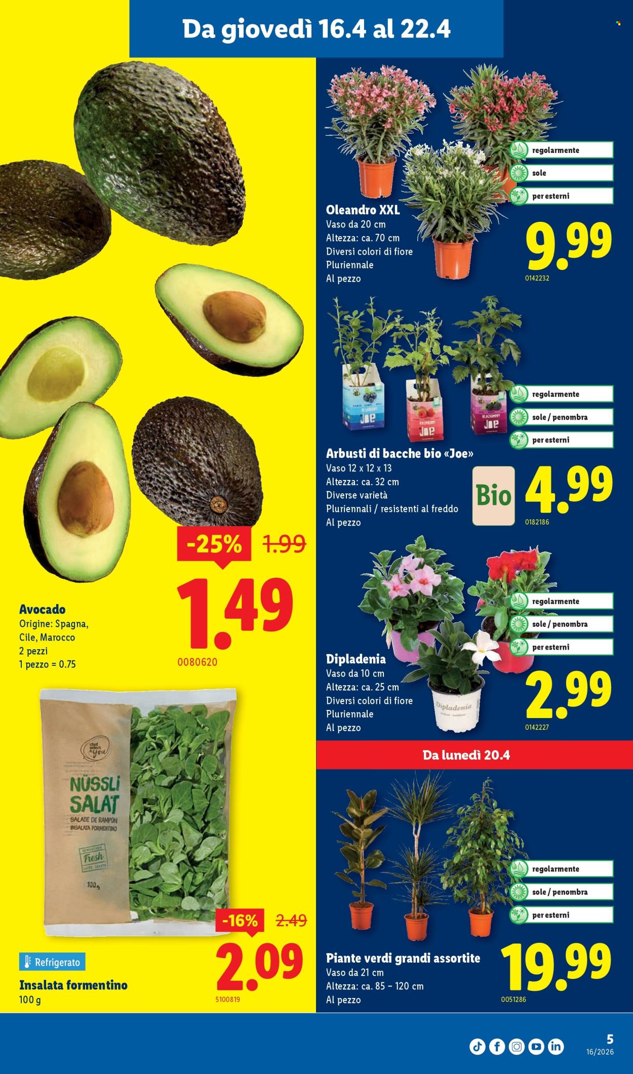 Catalogue Lidl - 16.4.2026 - 22.4.2026. Page 5. Page 5