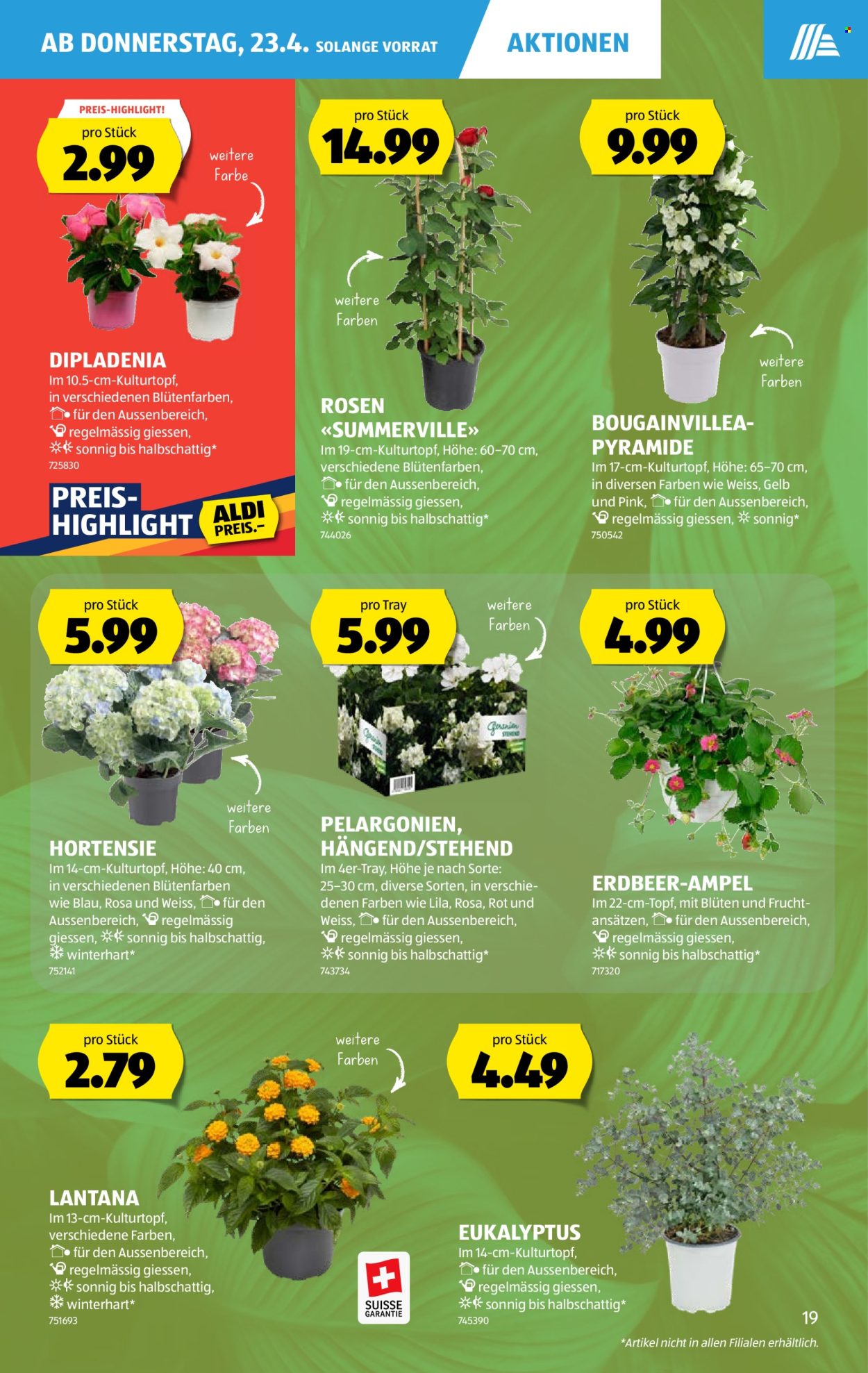 Catalogue Aldi - 23.4.2026 - 29.4.2026. Page 19. Page 19