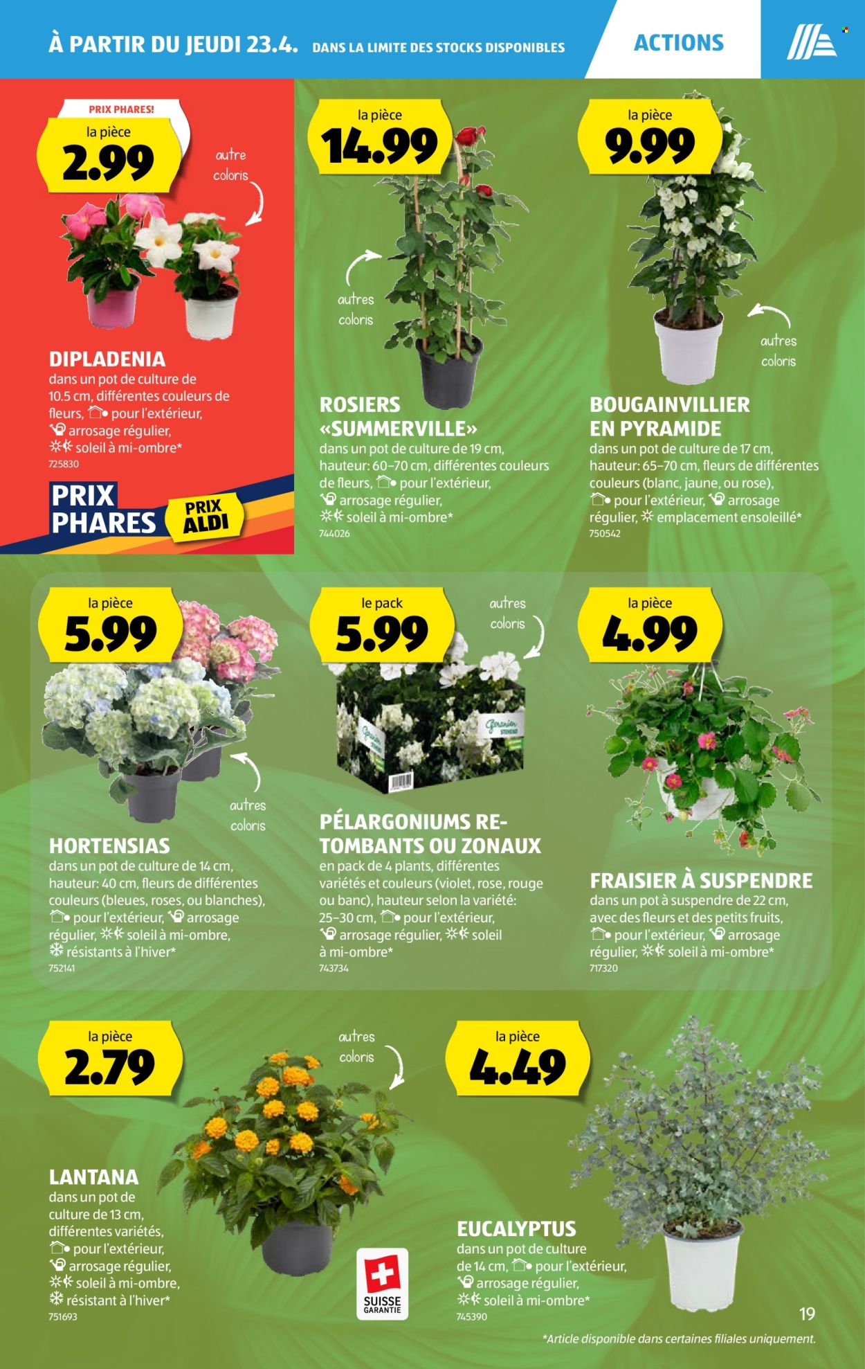 Catalogue Aldi - 23.4.2026 - 29.4.2026. Page 19. Page 19