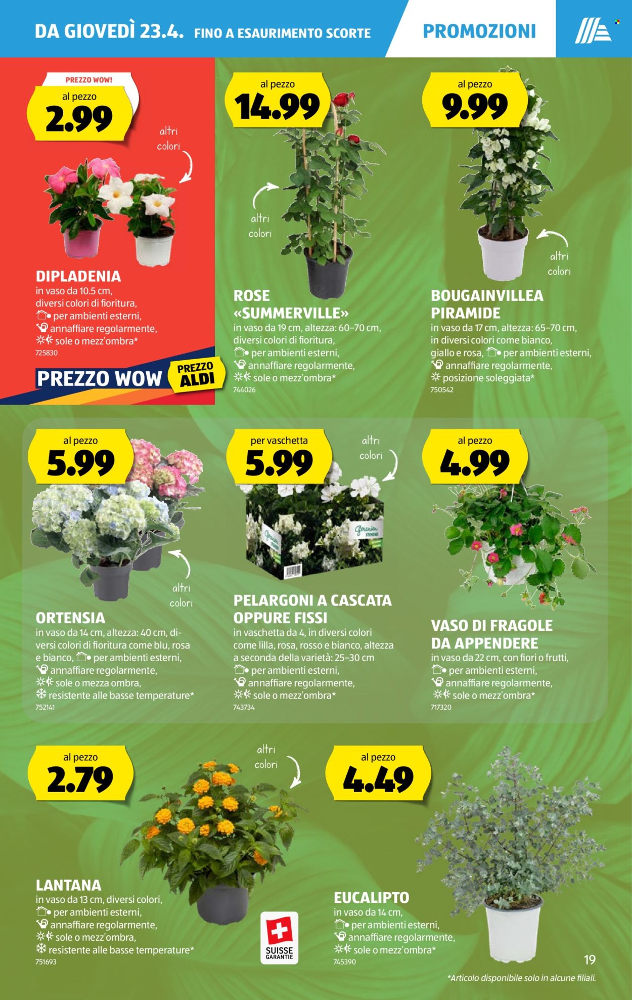 Catalogue Aldi - 23.4.2026 - 29.4.2026. Page 19. Page 19