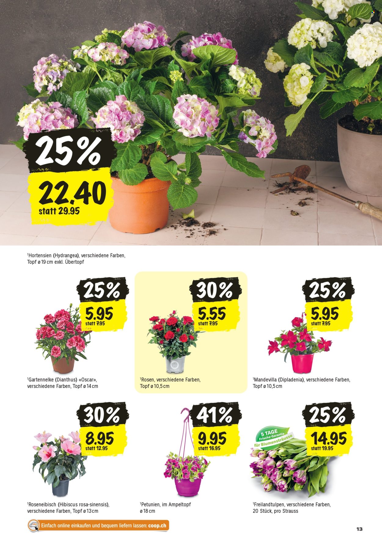 Catalogue Coop - 16.4.2026 - 22.4.2026. Page 13. Page 13