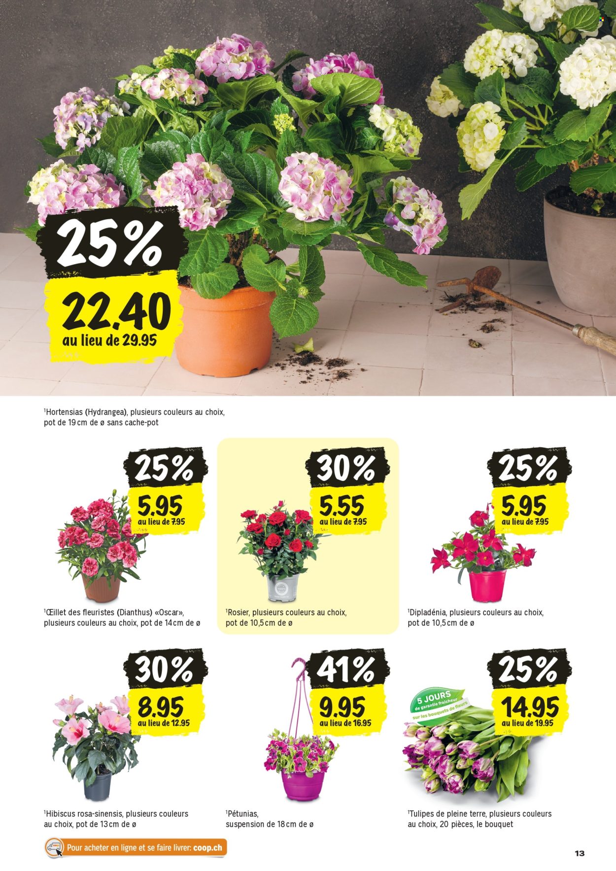 Catalogue Coop - 16.4.2026 - 22.4.2026. Page 13. Page 13