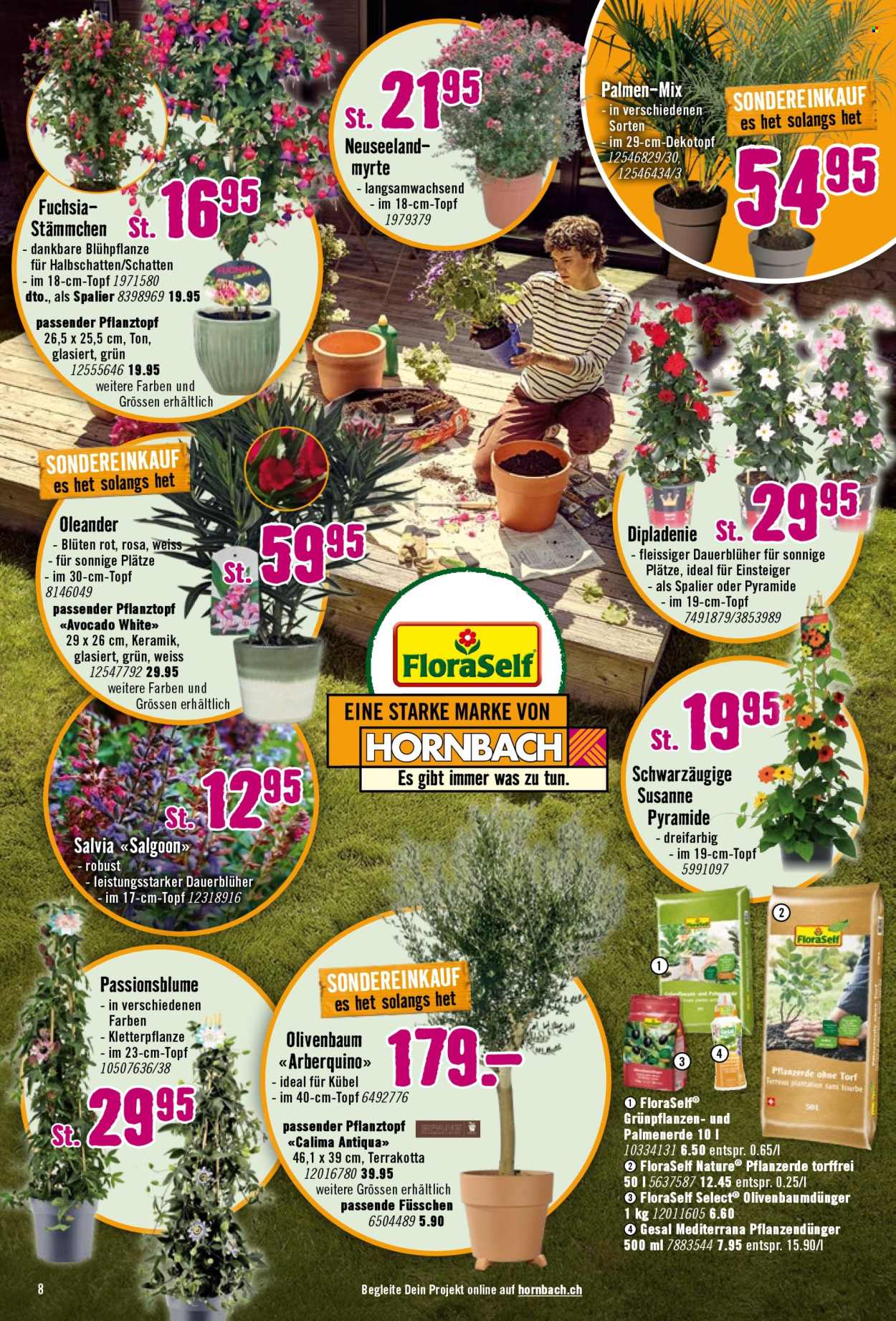 Catalogue Hornbach - 21.4.2026 - 18.5.2026. Page 8. Page 8