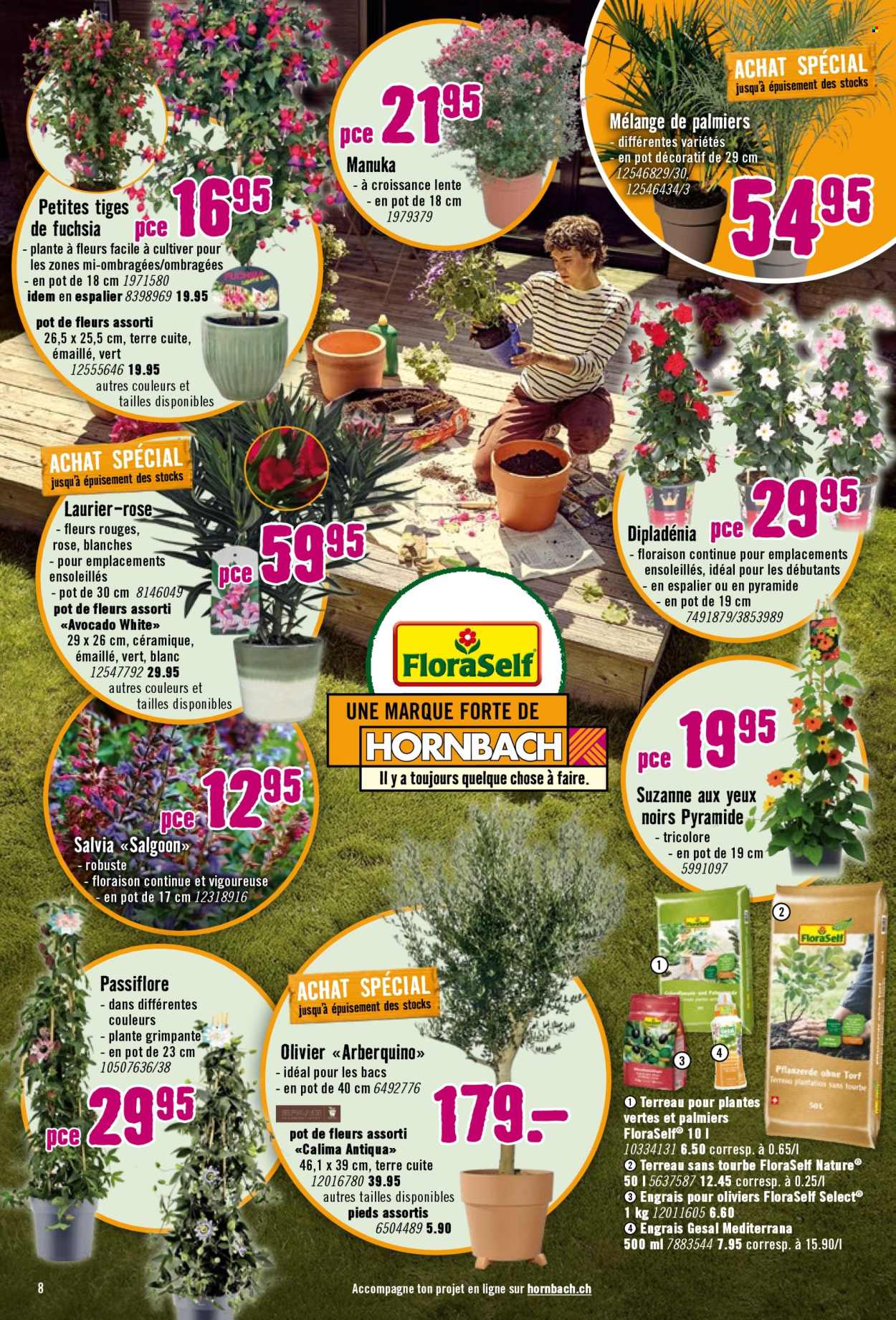 Catalogue Hornbach - 21.4.2026 - 18.5.2026. Page 8. Page 8