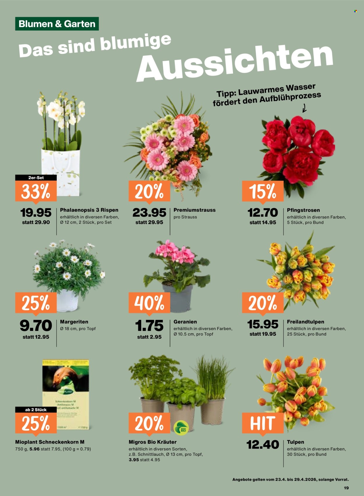 Catalogue Migros - 23.4.2026 - 29.4.2026. Page 19. Page 19