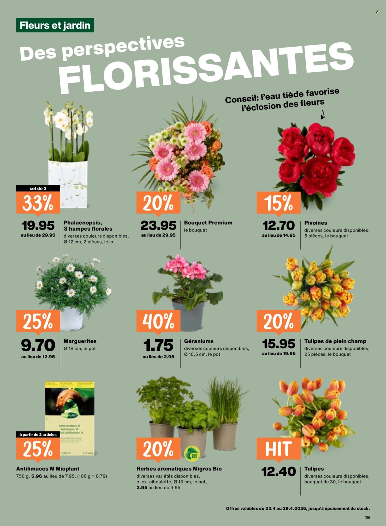 Catalogue Migros - 23.4.2026 - 29.4.2026. Page 19. Page 19